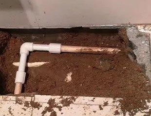 灵武测漏水哪家好