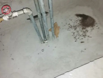 灵武卫生间测漏水价格明细